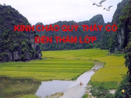 Bài giảng Ngữ văn 9 - Tiết 31: Mã Giám Sinh mua Kiều (Trích Truyện Kiều) Nguyễn Du