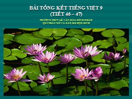 Bài tổng kết Tiếng Việt 9 (tiết 46 – 47)
