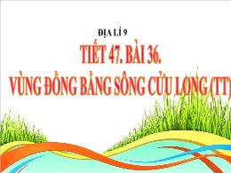 Bài giảng Địa lí 9 - Tiết 47, Bài 36: Vùng đồ