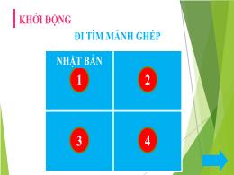 Bài giảng Lịch sử 9 - Tiết 11, Bài 9: Nhật Bả