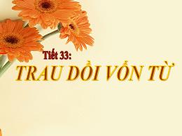 Bài giảng Ngữ văn Lớp 9 - Tiết 33: Trau dồi v