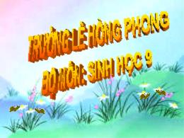 Bài giảng Sinh học 9 - Chương I: Sinh vật và 