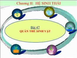 Bài giảng Sinh học 9 - Chương II: Hệ sinh thá