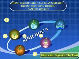 Bài giảng Sinh học 9 - Tiết 12, Bài 12: Cơ ch
