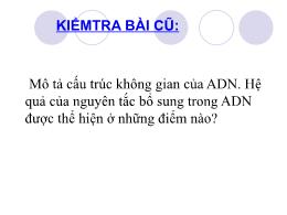 Bài giảng Sinh học 9 - Tiết 16, Bài 16: ADN v