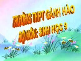 Bài giảng Sinh học Lớp 9 - Chương I: Sinh vật