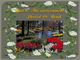 Bài giảng Tiếng Anh 9 - Period 39, Unit 6: Th