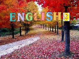 Bài giảng Tiếng Anh 9 - Unit 2: Clothing (Les