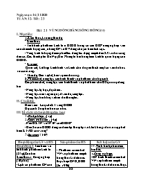 Giáo án Địa lí 9 - Tuần 12, Bài 21: Vùng đồng
