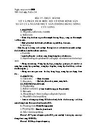 Giáo án Địa lí Lớp 9 - Tuần 24 - Năm học 2019