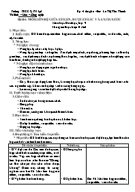 Giáo án Hóa học 9 - Tuần 29 - La Thị Thu Than