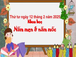 Bài giảng Khoa học 4 - Nấm men & nấm mốc - Nă