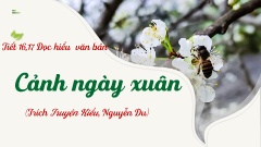 Bài giảng Ngữ văn 9 - Đọc hiểu văn bản: Cảnh 