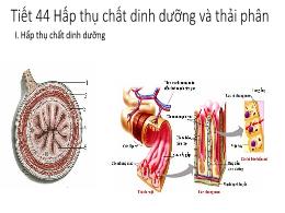 Bài giảng Sinh học 9 - Tiết 44: Hấp thụ chất 